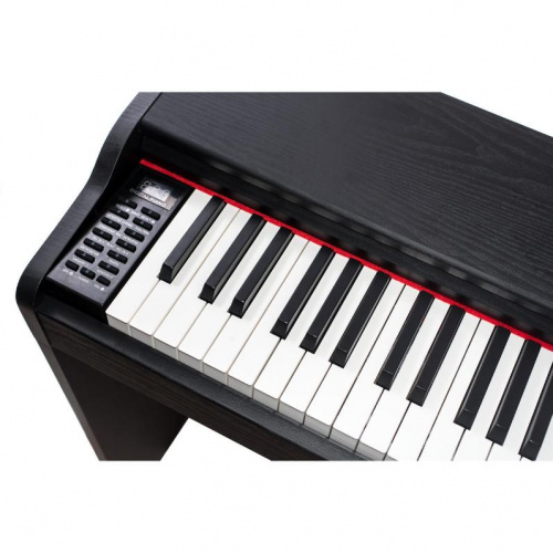 Цифрове піаніно Alfabeto Animato Assai BK (Black) - JCS.UA фото 3