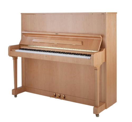 Акустическое фортепиано P125F1-8107 - JCS.UA