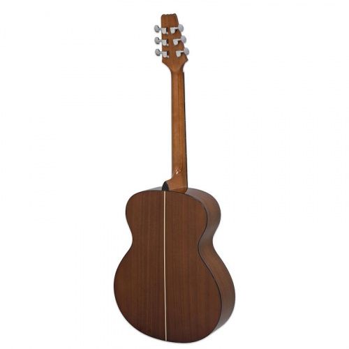 Акустическая гитара Aria AF-10 N - JCS.UA фото 2 Акустическая гитара Aria AF-10 N - JCS.UA фото 2