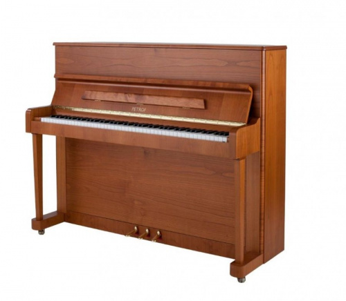 Акустическое фортепиано Petrof P118P1-6217 - JCS.UA