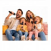 Що потрібно для караоке вдома: мінімальний комплект, підключення та налаштування