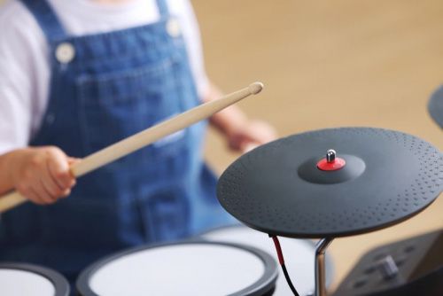 Электронная ударная установка HAMPBACK MK-0 Pro - JCS.UA фото 5