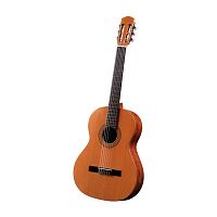 Классическая гитара Antonio Sanchez S-20 Cedar - JCS.UA