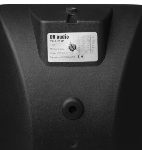 Акустична система DV audio PB-4.2T IP Black - JCS.UA фото 4