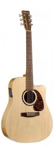 Електроакустична гітара NORMAN 027453 - Encore B20 CW 4T - JCS.UA