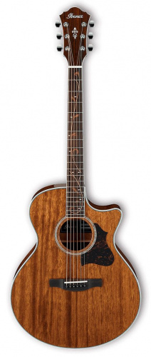 Акустическая гитара IBANEZ AE245 NT - JCS.UA