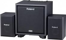Мониторная система Roland CM110 - JCS.UA