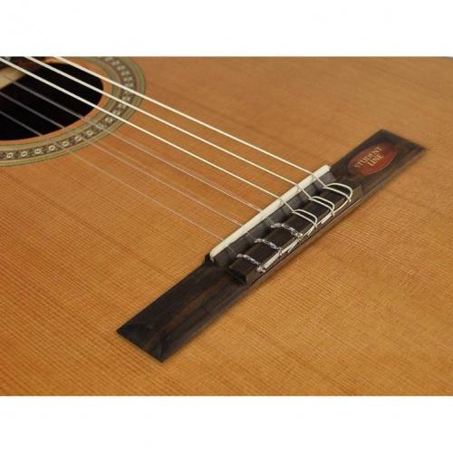 Классическая гитара Salvador Cortez CC-10L - JCS.UA фото 5