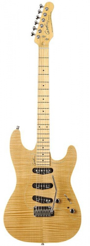 Електрогітара Godin 31085 - Passion RG3 Natural Flame MN with Tour Case - JCS.UA