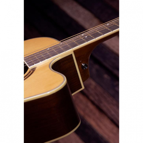 Електроакустична гітара Washburn AG70CE - JCS.UA фото 7