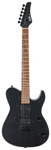 Електрогітара FUJIGEN JIL2-ASH-DE664G Iliad Dark Evolution Series (Open Pore Black) - JCS.UA