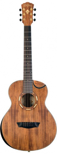 Акустическая гитара Washburn WCGM55K - JCS.UA