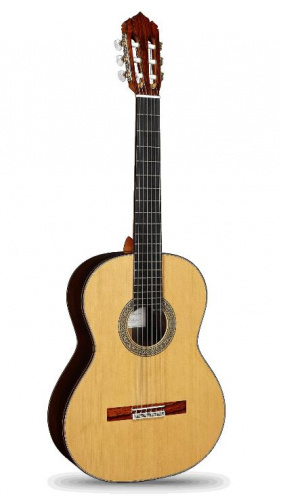 Класична гітара Alhambra Mengual y Margarit Serie NT - JCS.UA