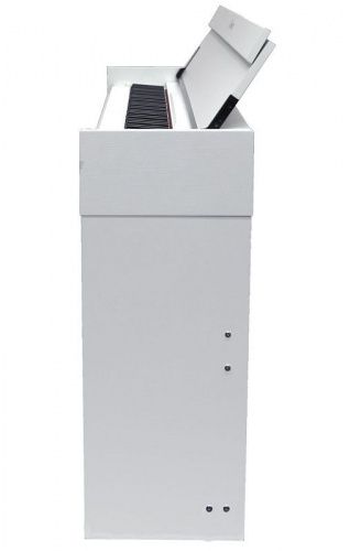 Цифрове піанино Toneberg TDP-110 WH - JCS.UA фото 3