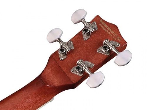 Банджо Richwood RMBU-404 - JCS.UA фото 4