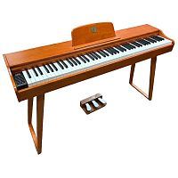 Цифровое пианино Alfabeto Animato Assai Limited Edition - JCS.UA