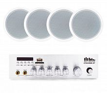 Акустический комплект SKY SOUND CSY-3104 - JCS.UA