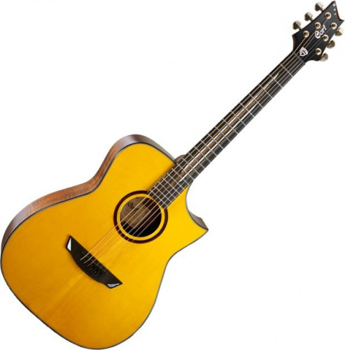 Электроакустическая гитара CORT LUXE NAT w/case - JCS.UA фото 4