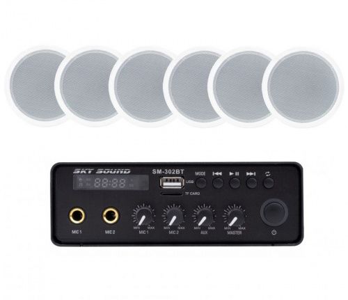 Акустический комплект SKY SOUND SMS-3106 - JCS.UA