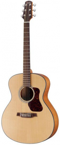 Акустическая гитара Walden G570 - JCS.UA