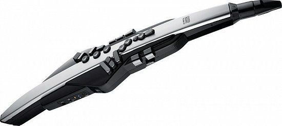 Roland Aerophone Pro