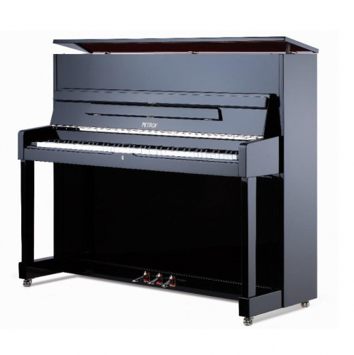 Акустическое фортепиано Petrof P118M1-0801 - JCS.UA