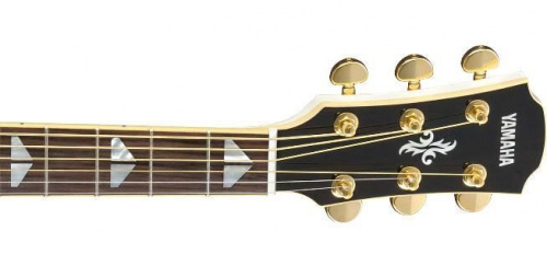 Электроакустическая гитара YAMAHA APX1000 (Pearl White) - JCS.UA фото 4