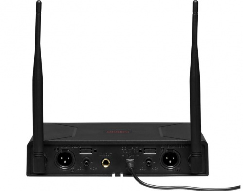 Радиосистема DV audio PGX-24 Dual - JCS.UA фото 2