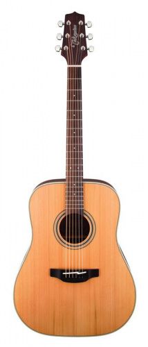 Акустическая гитара TAKAMINE GD20-NS - JCS.UA