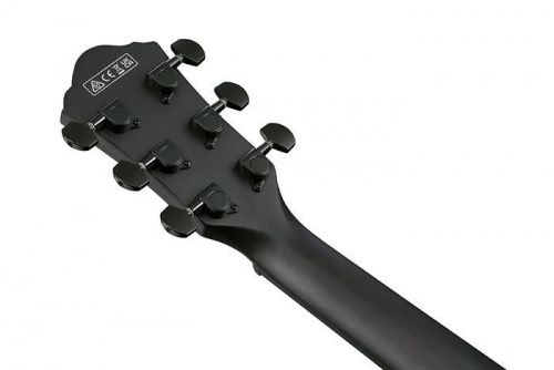 Электроакустическая гитара IBANEZ AEWC621 BOT - JCS.UA фото 5