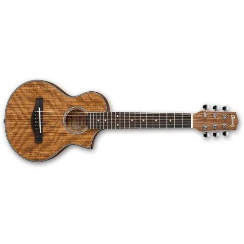 Акустическая гитара IBANEZ EWP14WB OPN - JCS.UA фото 3