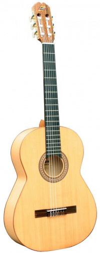 Класична гітара Admira Flamenco - JCS.UA
