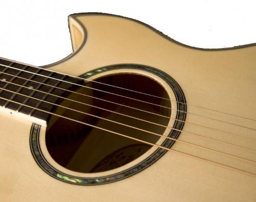 Электроакустическая гитара Washburn EA20 - JCS.UA фото 5