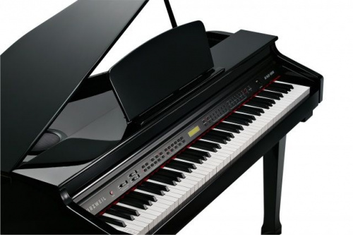 Цифровий рояль Kurzweil KAG-100 EP - JCS.UA фото 7