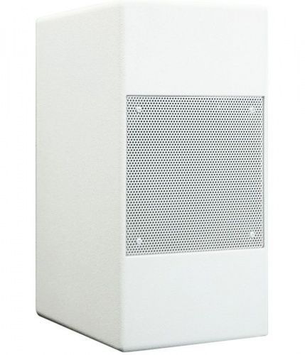 Сабвуфер dB Technologies IS 8SW WHITE - JCS.UA