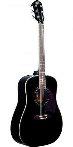 Акустична гітара Washburn OG2B - JCS.UA