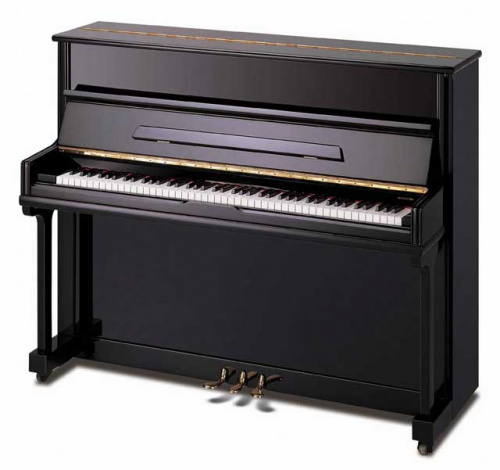 Акустическое фортепиано Pearl River UP108T2 Ebony - JCS.UA