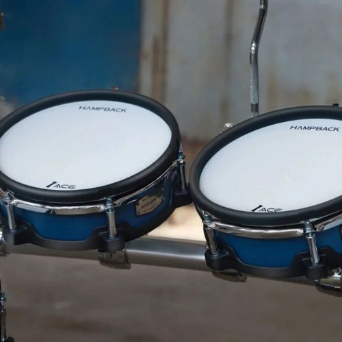 Электронная ударная установка HAMPBACK ACE-1719 - JCS.UA фото 6 Электронная ударная установка HAMPBACK ACE-1719 - JCS.UA фото 6