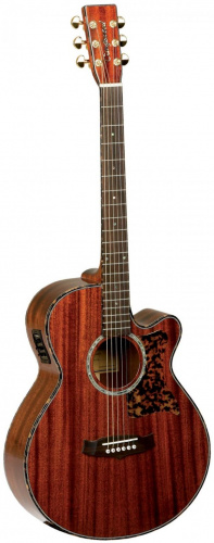 Электроакустическая гитара Tanglewood TW47 E - JCS.UA