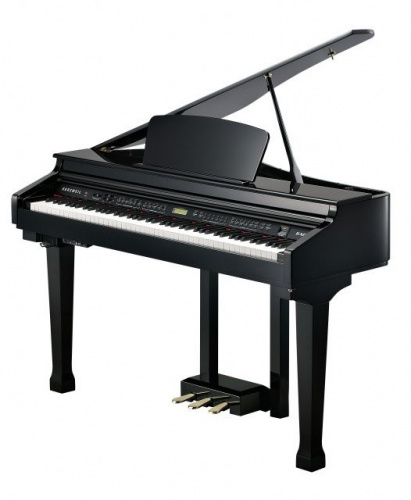 Цифровий рояль Kurzweil KAG-100 EP - JCS.UA фото 2