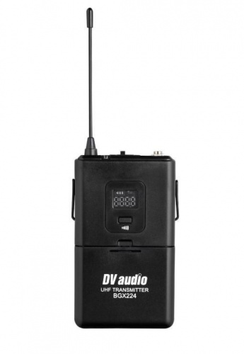 Радиосистема DV audio BGX-224 Dual с гарнитурами - JCS.UA фото 3