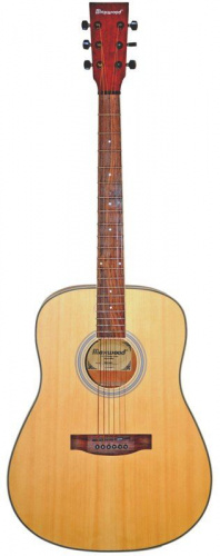 Акустическая гитара MAXWOOD MD6621+ - JCS.UA