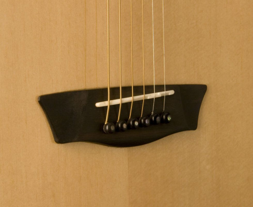 Акустическая гитара Washburn WD250 SW - JCS.UA фото 2