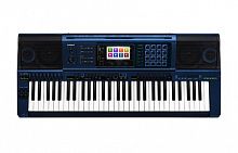 Клавишный инструмент Casio MZ-X500 - JCS.UA