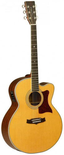Электроакустическая гитара Tanglewood TW55 NS E - JCS.UA