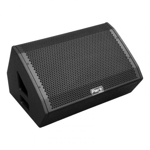 Сценічний монітор Park Audio SM124-P - JCS.UA