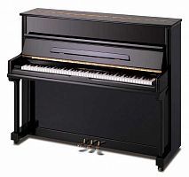 Акустическое фортепиано Pearl River UP115M3 Ebony - JCS.UA