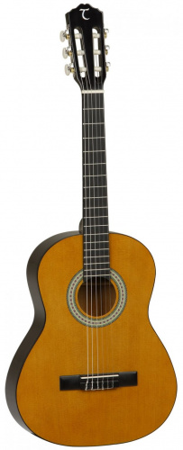 Класична гітара Tanglewood DBT 34 - JCS.UA