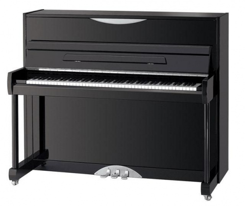 Акустическое фортепиано Ritmuller UP121R3 Ebony - JCS.UA