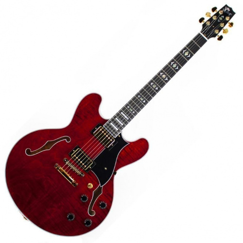 Полуакустическая гитара HERITAGE H555 TR WR W SETH'S - JCS.UA фото 2